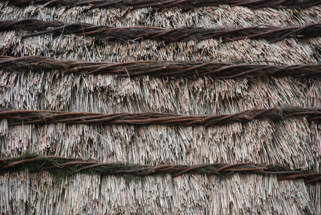 Detalle del 