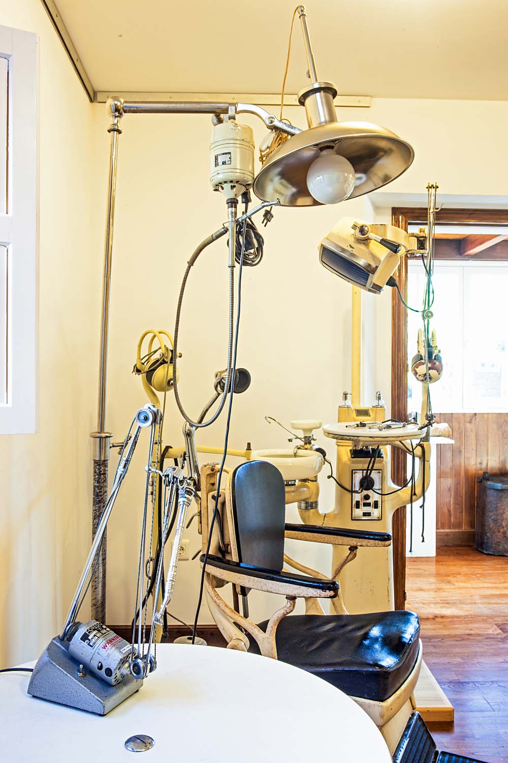Dentista
