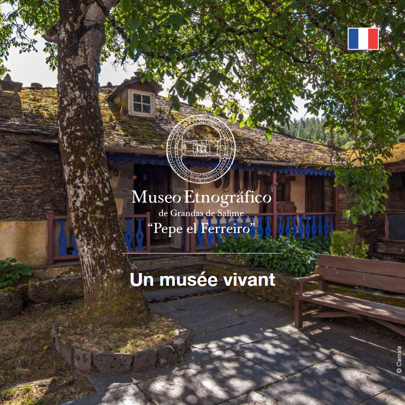 Guía_MuseoGrandas_Francés